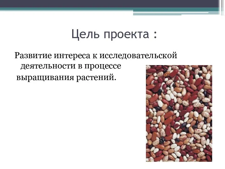 Цель проекта : Развитие интереса к исследовательской деятельности в процессе выращивания растений.