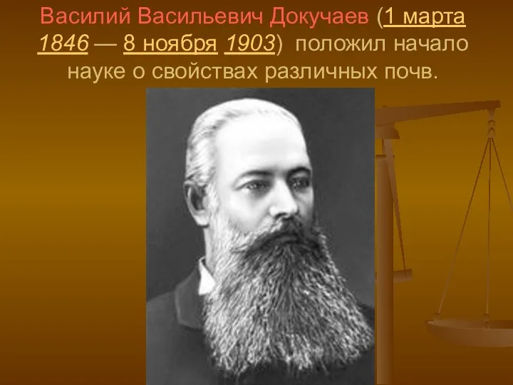 Василий Васильевич Докучаев (1 марта 1846 — 8 ноября 1903) положил начало науке