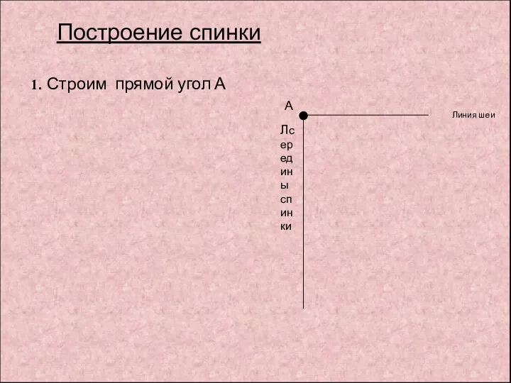 А 1. Строим прямой угол А Построение спинки Линия шеи Лсередины спинки