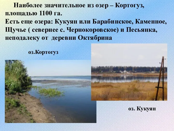Наиболее значительное из озер – Кортогуз, площадью 1100 га. Есть
