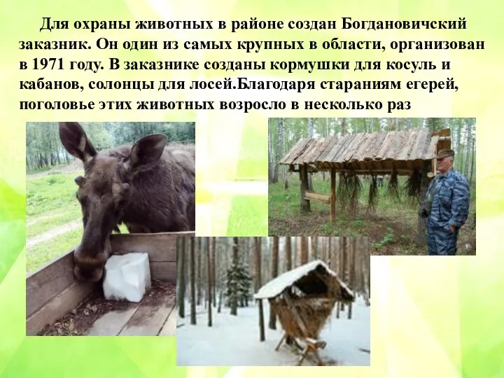 Для охраны животных в районе создан Богдановичский заказник. Он один