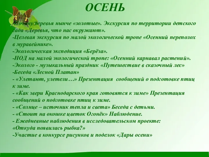 ОСЕНЬ -Почему деревья нынче «золотые». Экскурсия по территории детского сада «Деревья, что нас