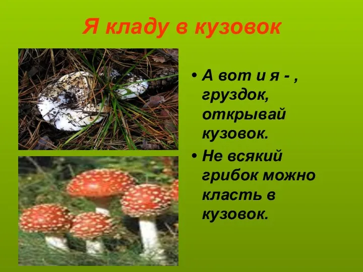 Я кладу в кузовок А вот и я - ,