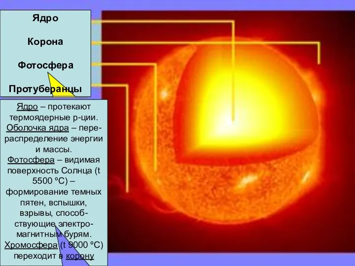 Ядро Корона Фотосфера Протуберанцы Ядро Корона Фотосфера Протуберанцы Ядро –