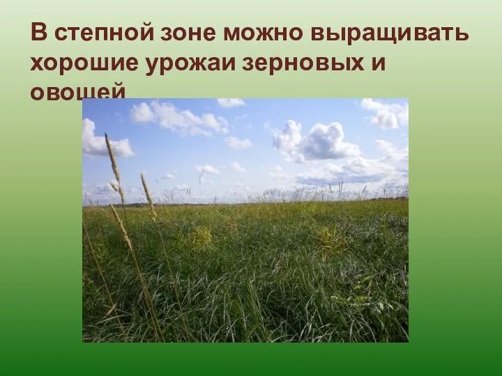 В степной зоне можно выращивать хорошие урожаи зерновых и овощей