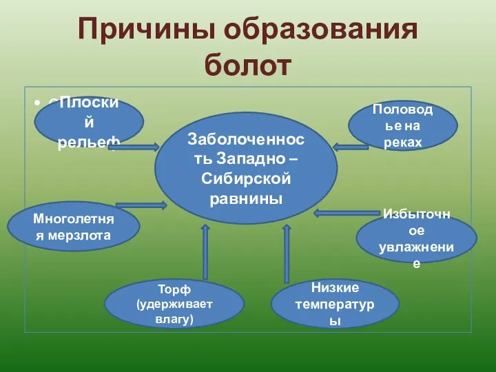 Причины образования болот схема Заболоченность Западно – Сибирской равнины Плоский