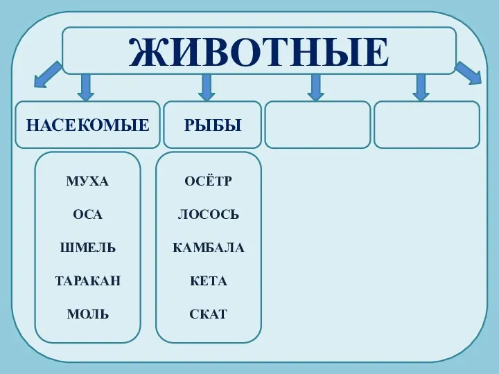 ЖИВОТНЫЕ НАСЕКОМЫЕ РЫБЫ МУХА ОСА ШМЕЛЬ ТАРАКАН МОЛЬ ОСЁТР ЛОСОСЬ КАМБАЛА КЕТА СКАТ