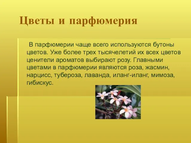 Цветы и парфюмерия В парфюмерии чаще всего используются бутоны цветов.