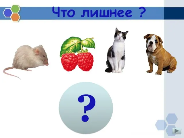 ? Что лишнее ?