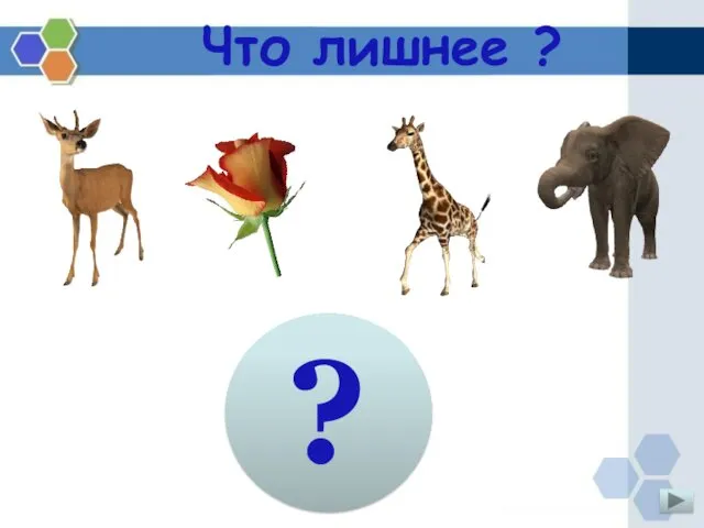 Что лишнее ? ?