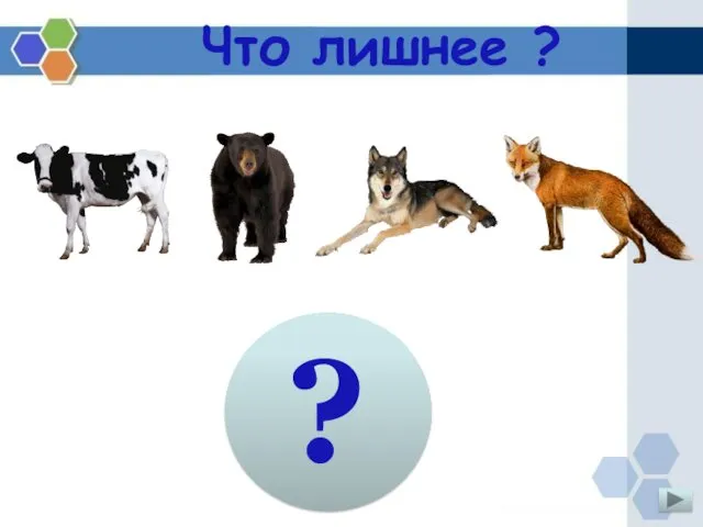 Что лишнее ? ?