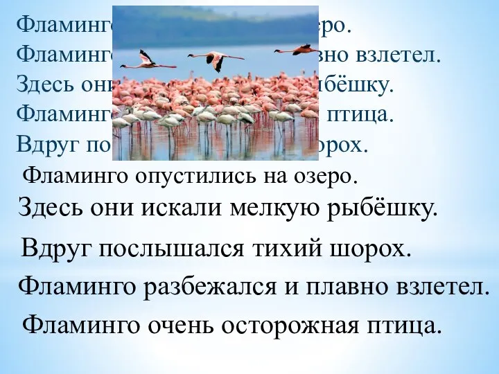 Фламинго опустились на озеро. Здесь они искали мелкую рыбёшку. Вдруг послышался тихий шорох.