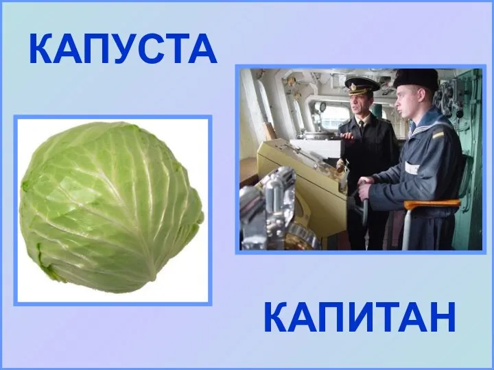 КАПУСТА КАПИТАН