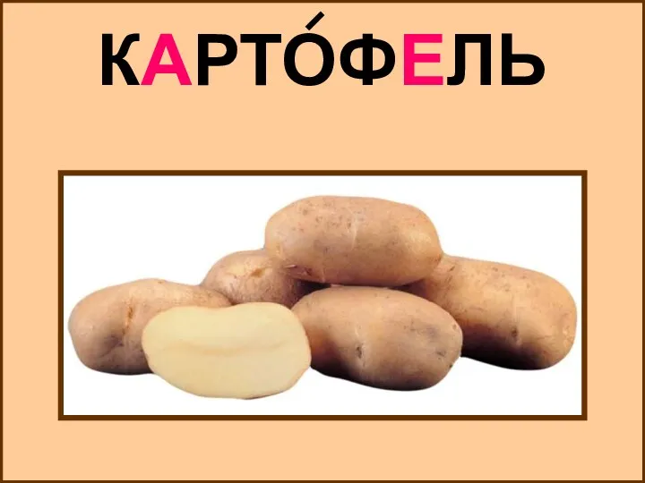 КАРТОФЕЛЬ