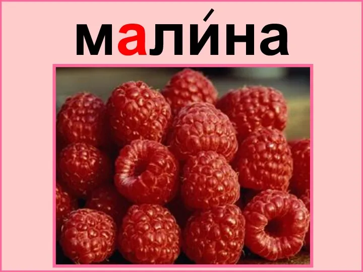 малина