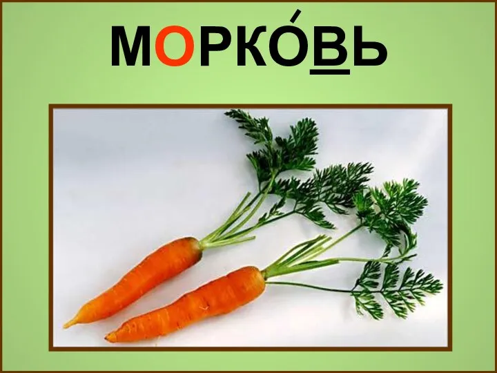 МОРКОВЬ