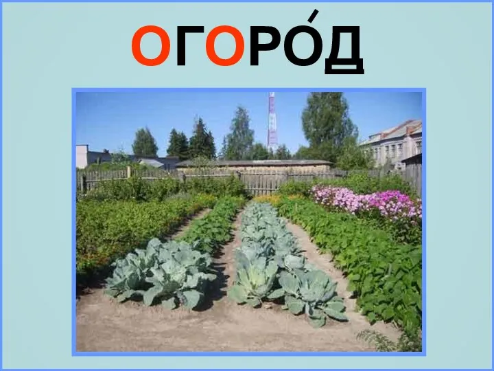 ОГОРОД