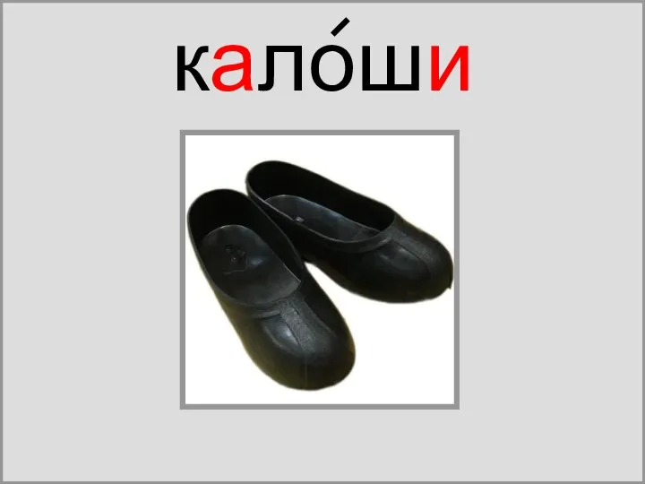 калоши