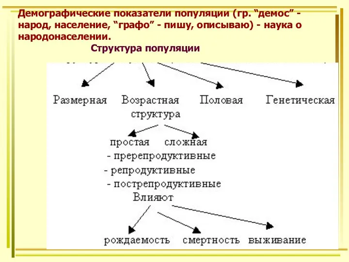 Демографические показатели популяции (гр. “демос” - народ, население, “графо” -