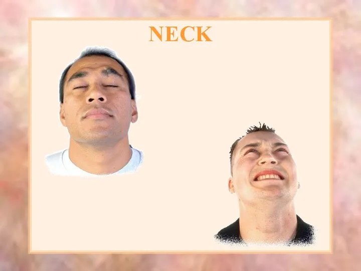 NECK