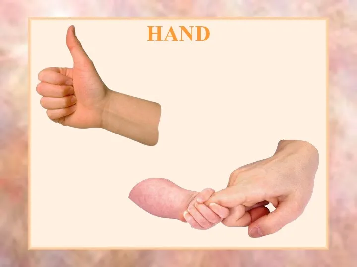 HAND