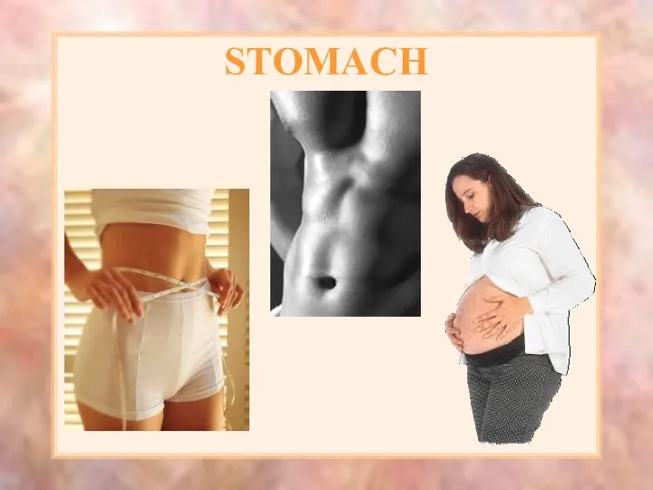 STOMACH