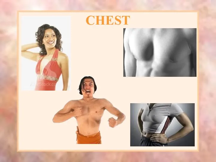 CHEST