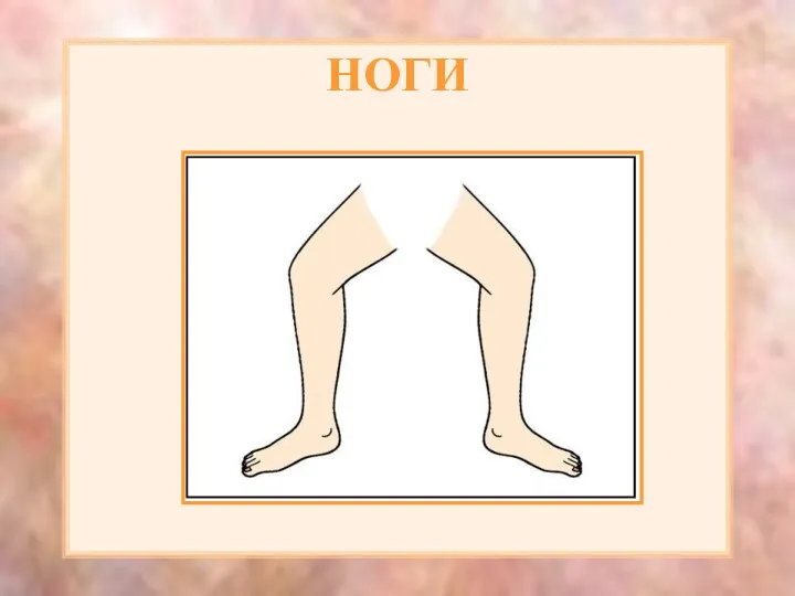 НОГИ