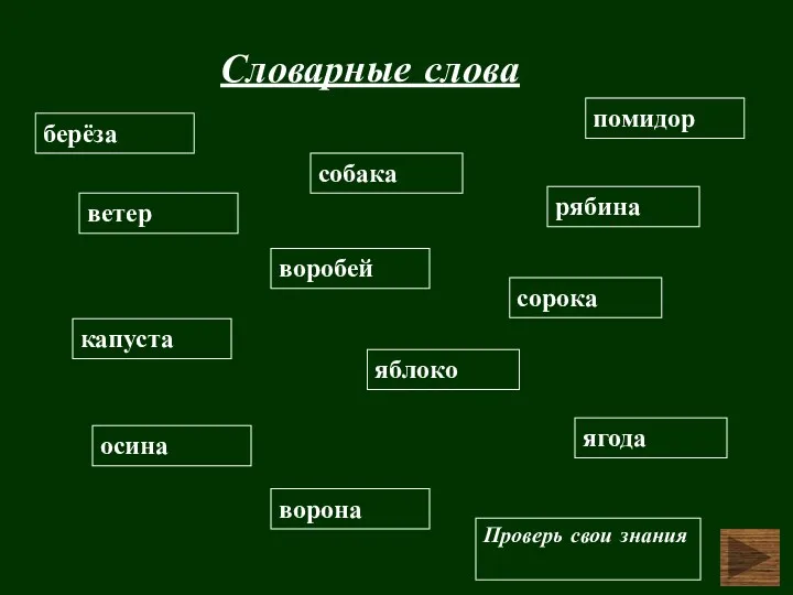 Словарные слова берёза осина воробей ворона сорока собака ветер капуста