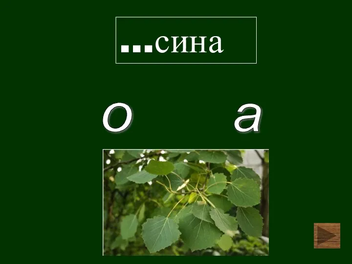 …сина о а