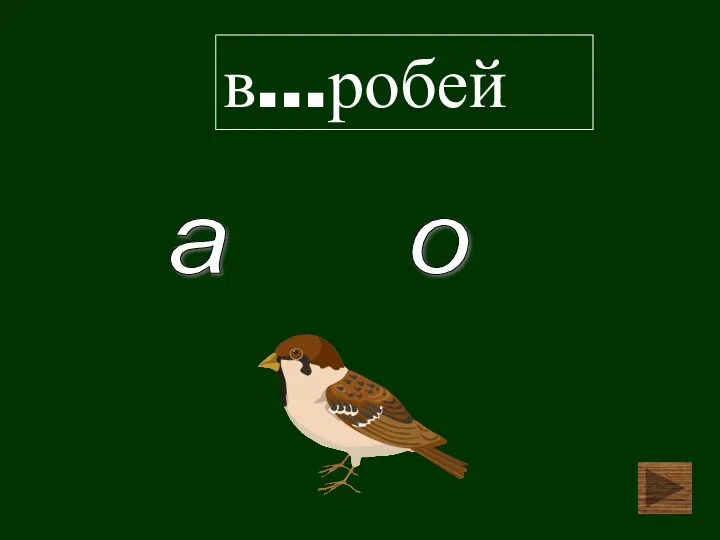 в…робей о а