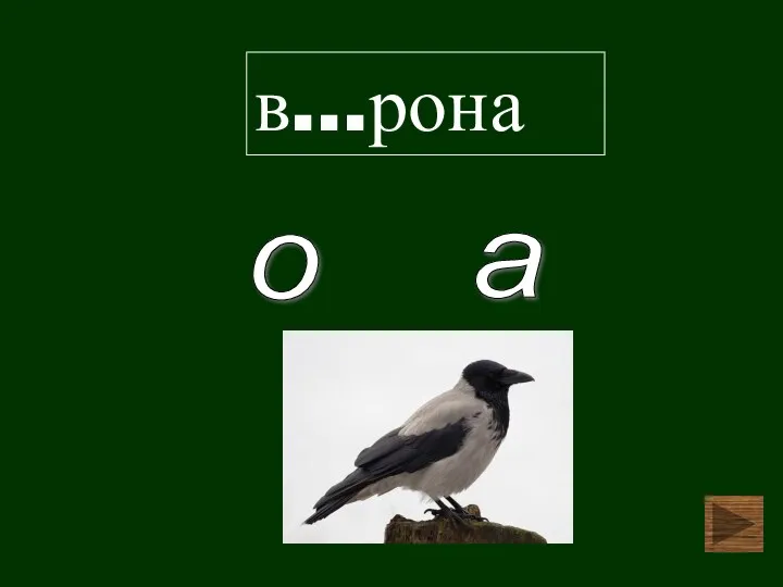 в…рона а о