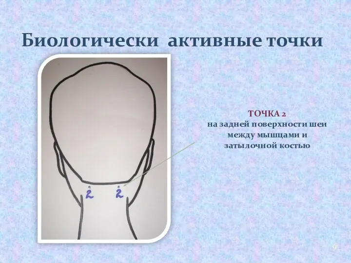 Биологически активные точки Точка 2 на задней поверхности шеи между мышцами и затылочной костью