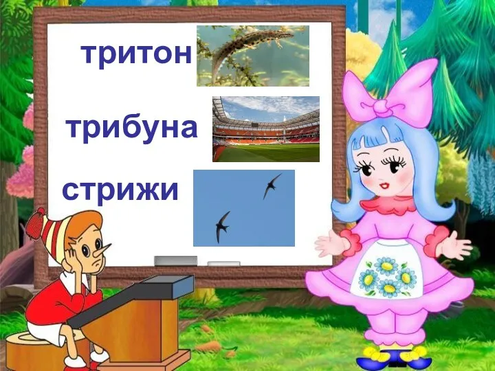 тритон трибуна стрижи