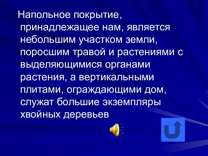 Напольное покрытие, принадлежащее нам, является небольшим участком земли, поросшим травой