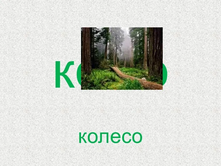 ко о колесо