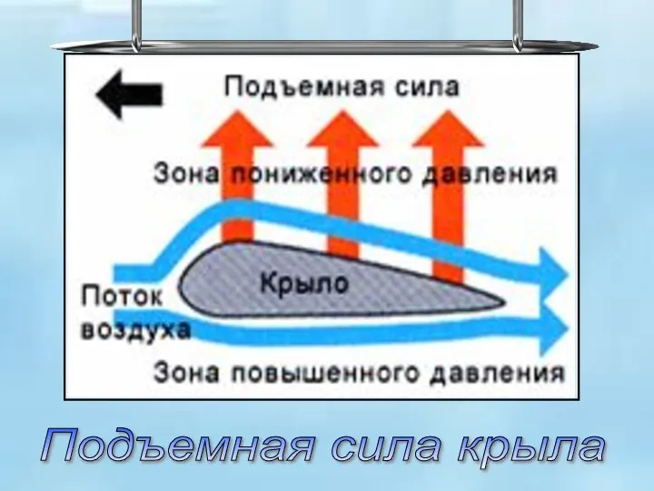 Подъемная сила крыла