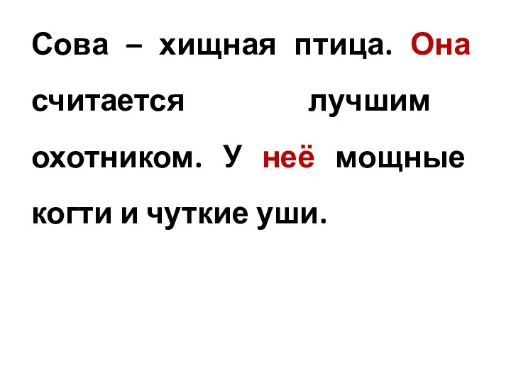 Сова – хищная птица. Она считается лучшим охотником. У неё мощные когти и чуткие уши.