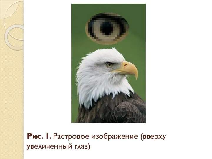 Рис. 1. Растровое изображение (вверху увеличенный глаз)