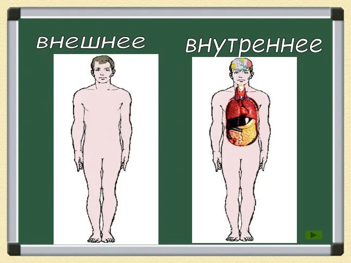 внешнее внутреннее