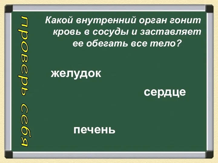 Какой внутренний орган гонит кровь в сосуды и заставляет ее