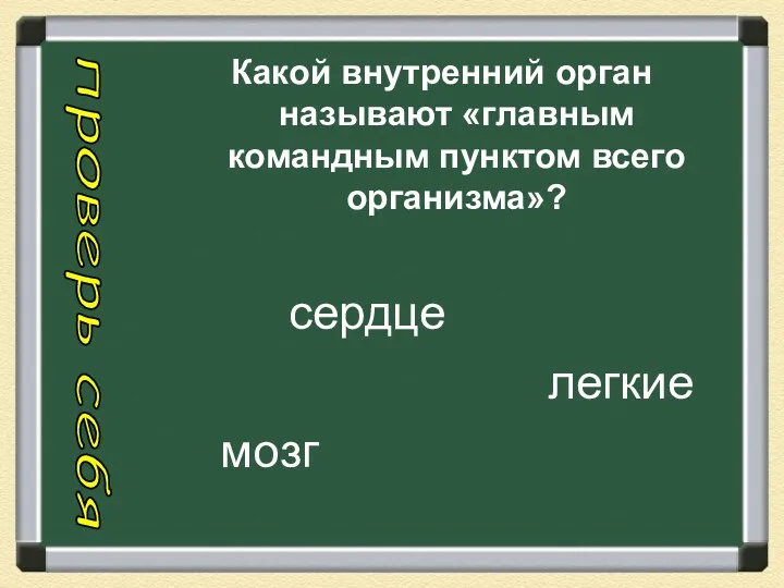 Какой внутренний орган называют «главным командным пунктом всего организма»? проверь себя сердце легкие мозг