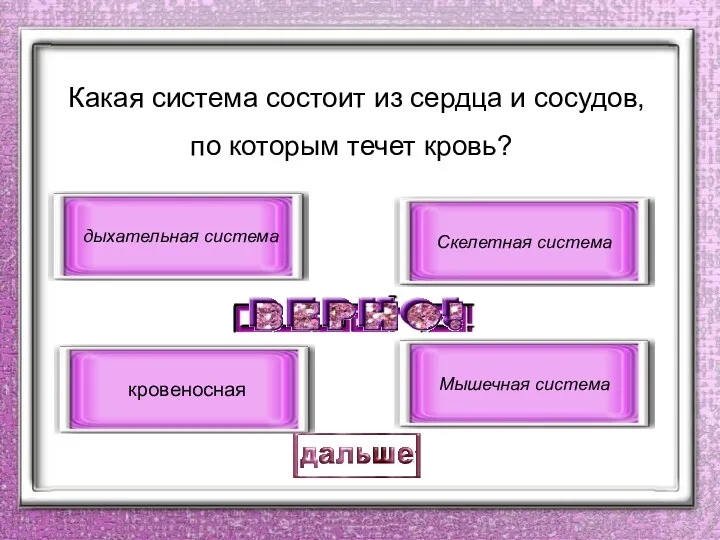 Какая система состоит из сердца и сосудов, по которым течет