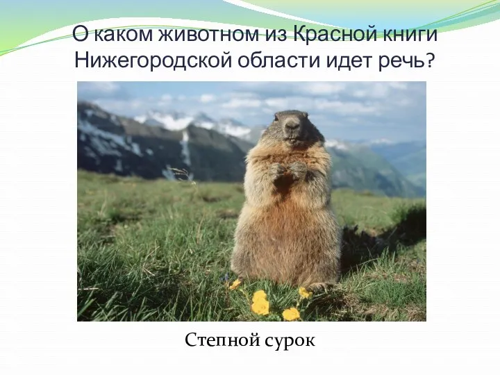 О каком животном из Красной книги Нижегородской области идет речь? В просторной степи