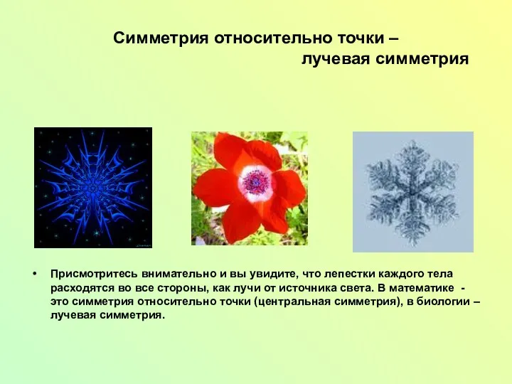 Симметрия относительно точки – лучевая симметрия Присмотритесь внимательно и вы