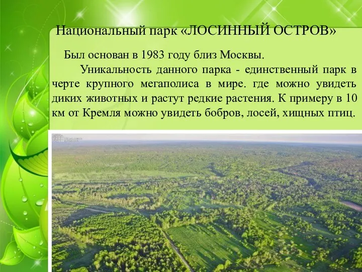 Национальный парк «ЛОСИННЫЙ ОСТРОВ» Был основан в 1983 году близ Москвы. Уникальность данного