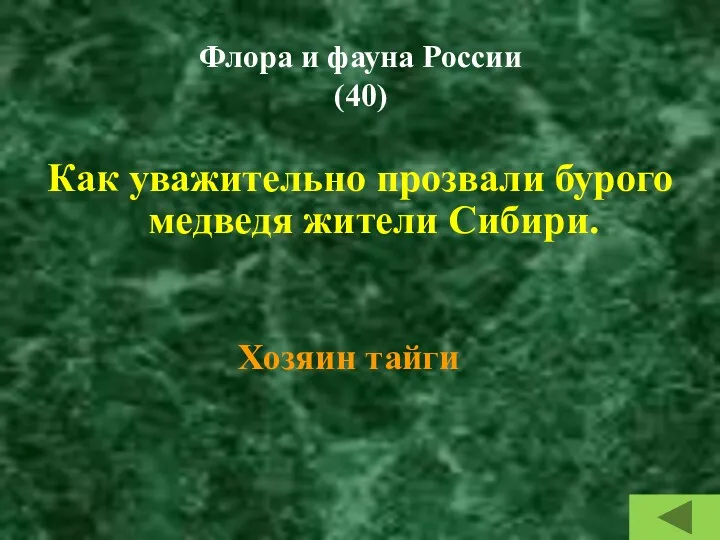 Флора и фауна России (40) Как уважительно прозвали бурого медведя жители Сибири. Хозяин тайги