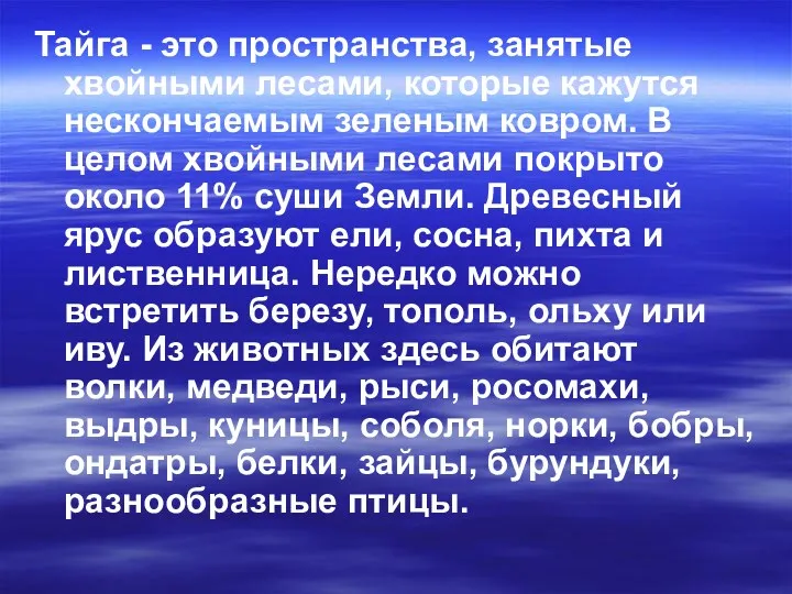 Тайга - это пространства, занятые хвойными лесами, которые кажутся нескончаемым