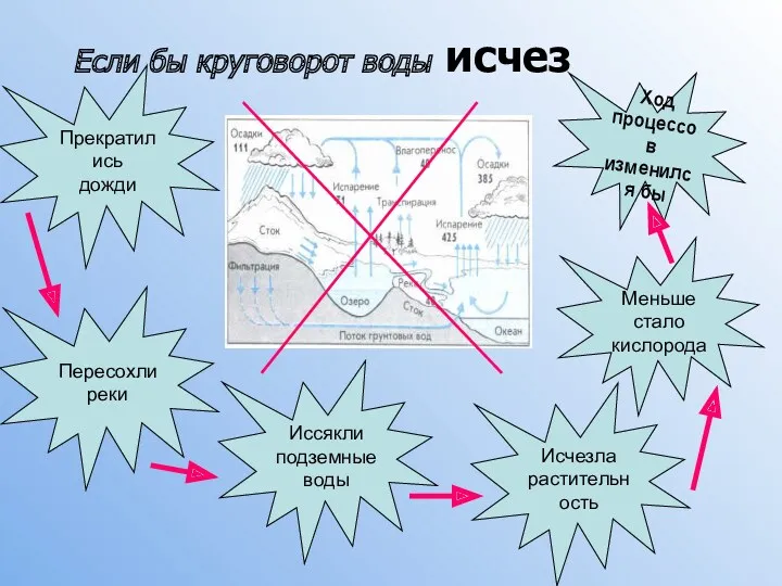 Ход процессов изменился бы Меньше стало кислорода Исчезла растительность Иссякли