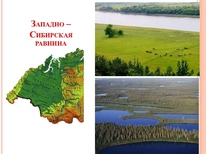 Западно – Сибирская равнина